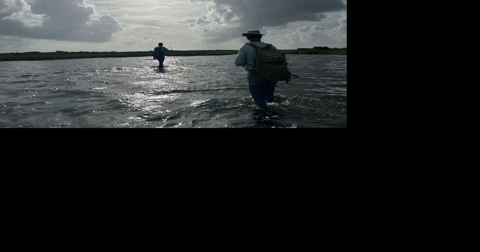 A plan to restore these wild Louisiana islands moves forward. 'Once in a lifetime.'