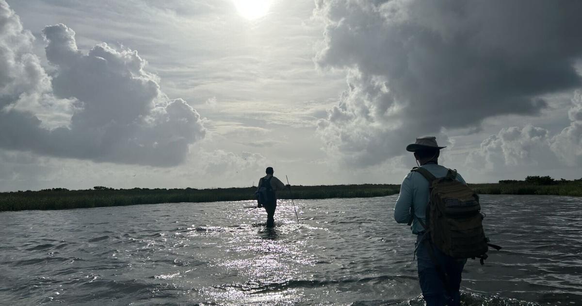 A plan to restore these wild Louisiana islands moves forward. 'Once in a lifetime.'