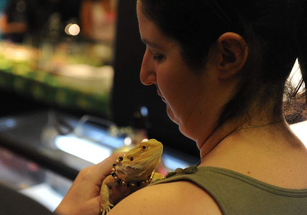 Photos: Snakes, turtles, lizards take center stage at ReptiDay in Lafayette _lowres