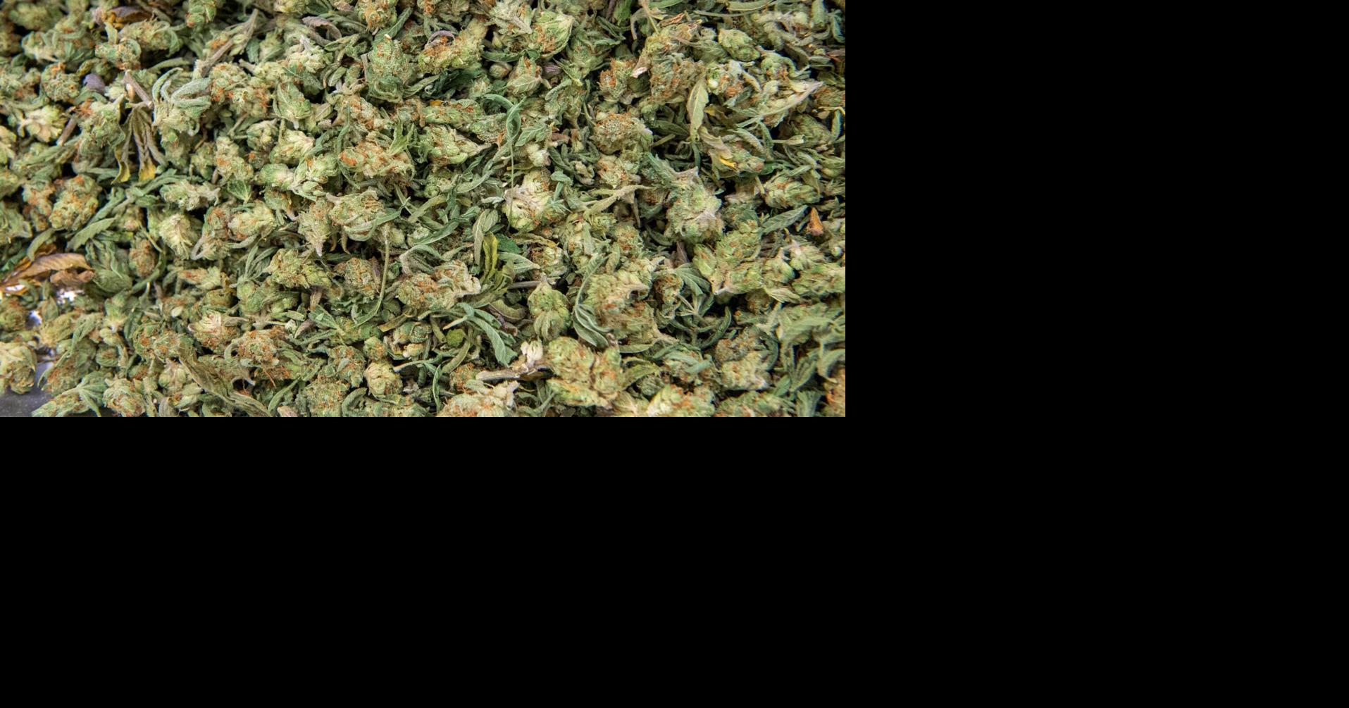 Louisiana medical marijuana leader touts industry growth, safety: ‘We’ve done it right.’