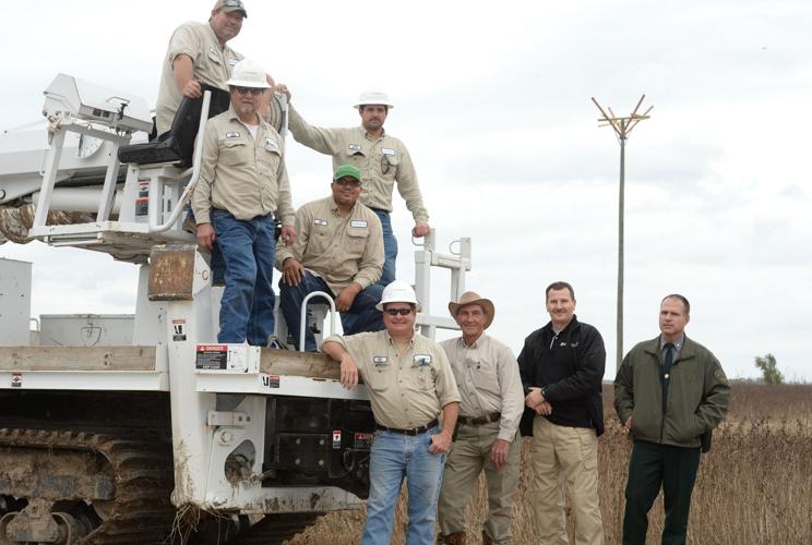 Spillway eagle gets a new home, but will it move from dying