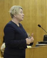 Metro Council approves resolution to encourage Baton Rouge hospitals to work with proposed ER during contentious meeting _lowres