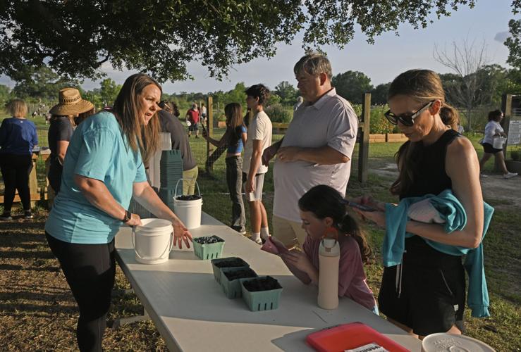 New pricing at Waughsome Farm makes picking fruit fair | Baton Rouge ...