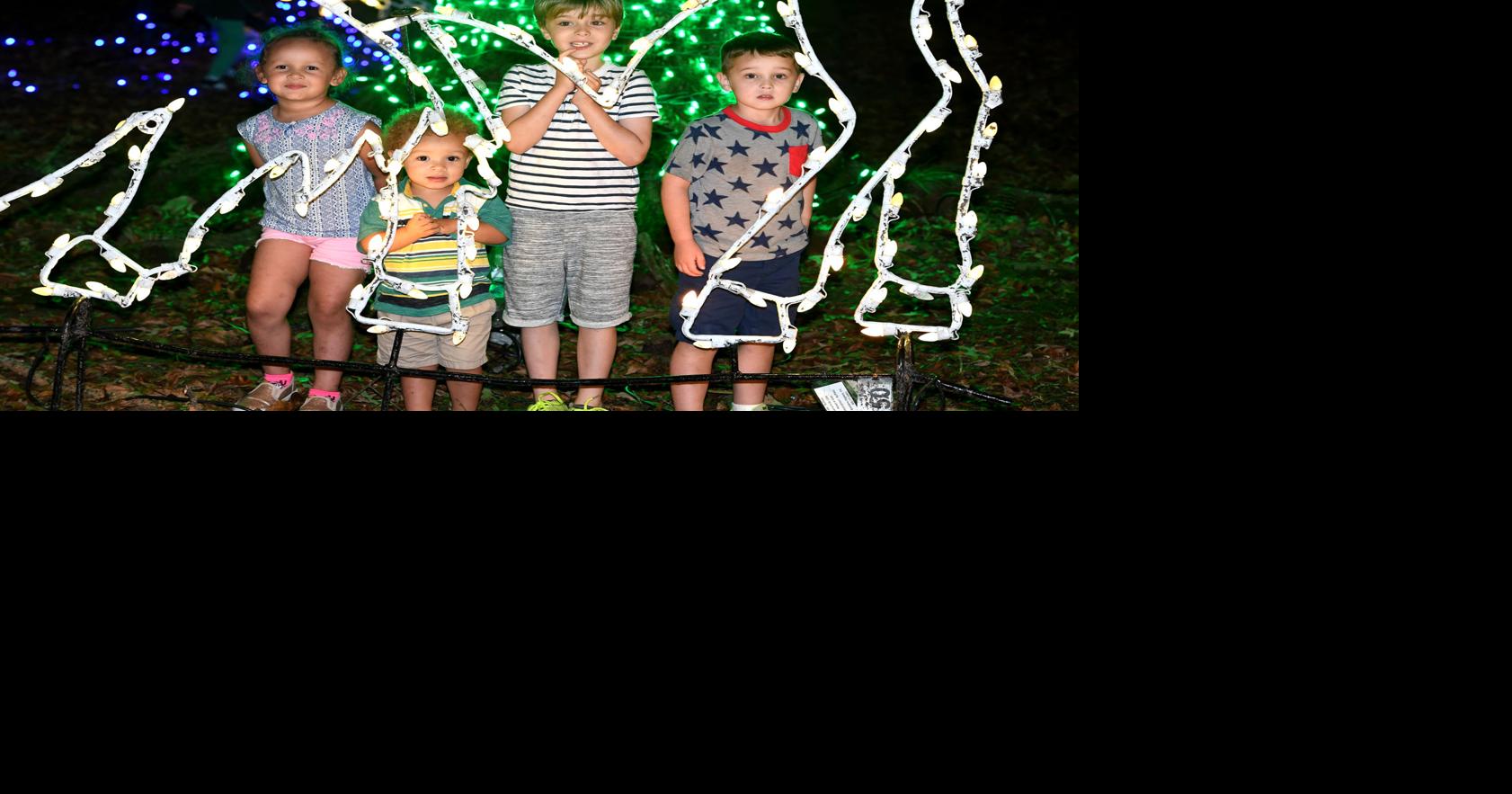 ZooLights set to return to Baton Rouge Zoo with 50 illuminated animal