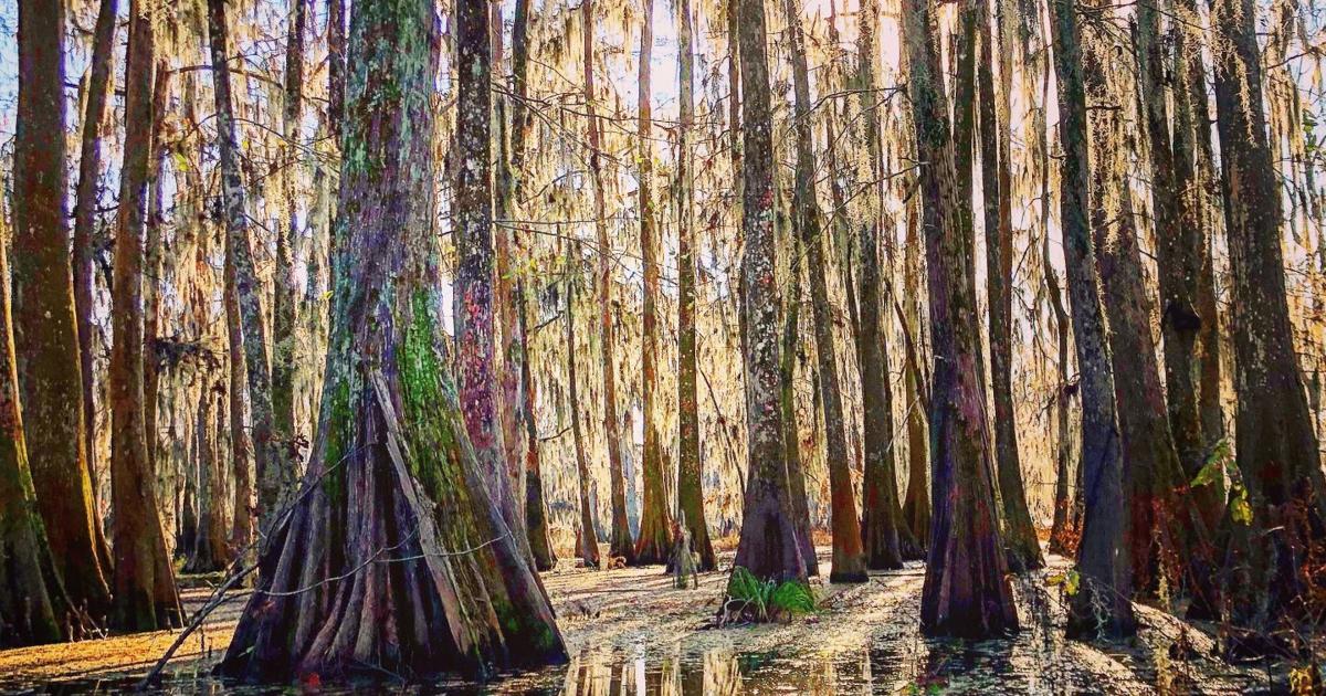 Jan Risher: A quick paddle can make any season a little more jolly ...