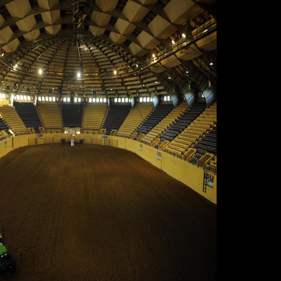 Lsu Basketball At The Cow Palace Will Wade Wants To Return But