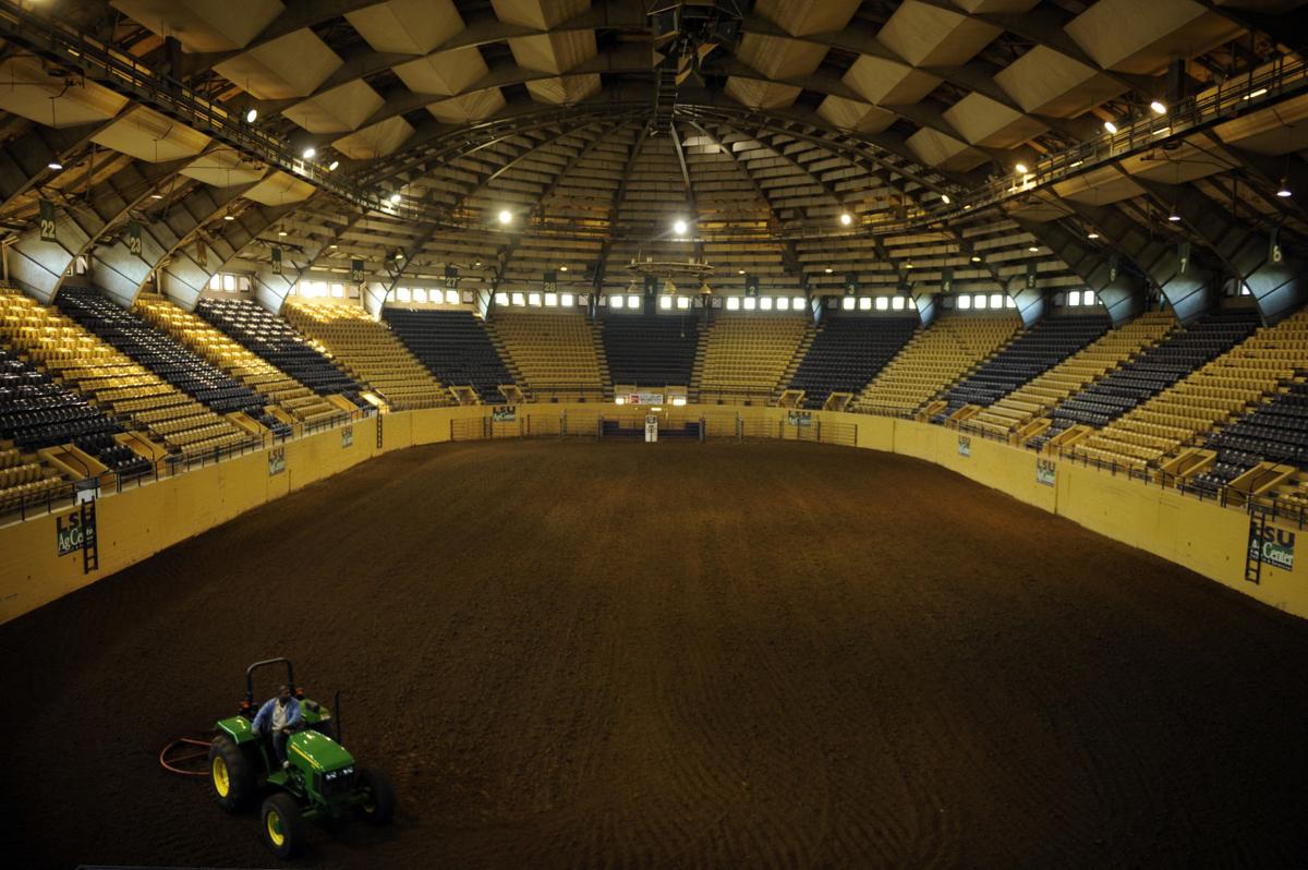 Lsu Basketball At The Cow Palace Will Wade Wants To Return But