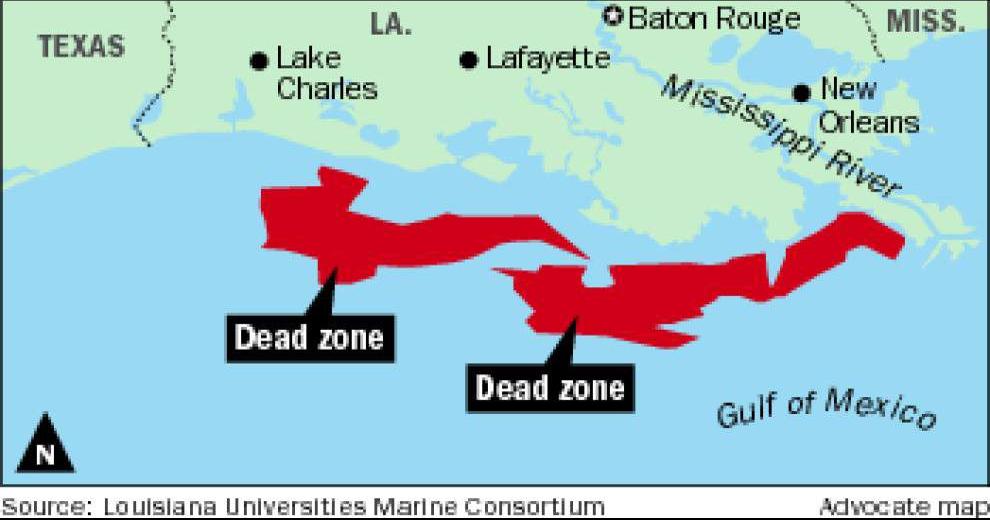 Dead zone off Louisiana coast slightly larger than last summer, but ...