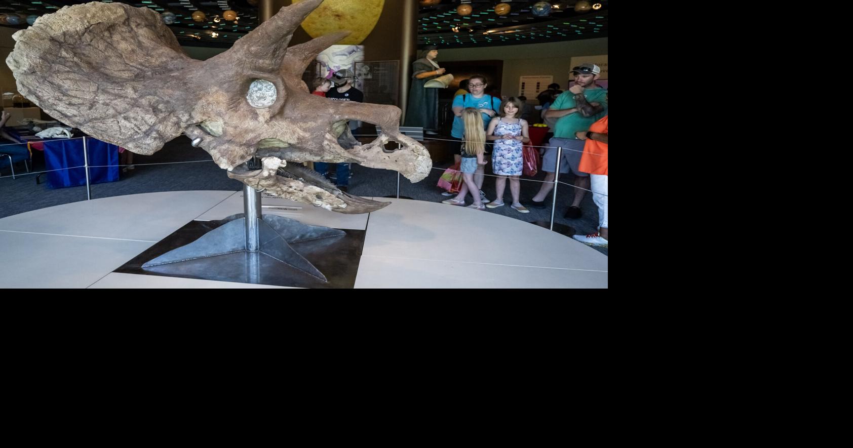 Rund um Baton Rouge: Dino-Tag, Amateurfunk-Event, Vernissage und mehr ...