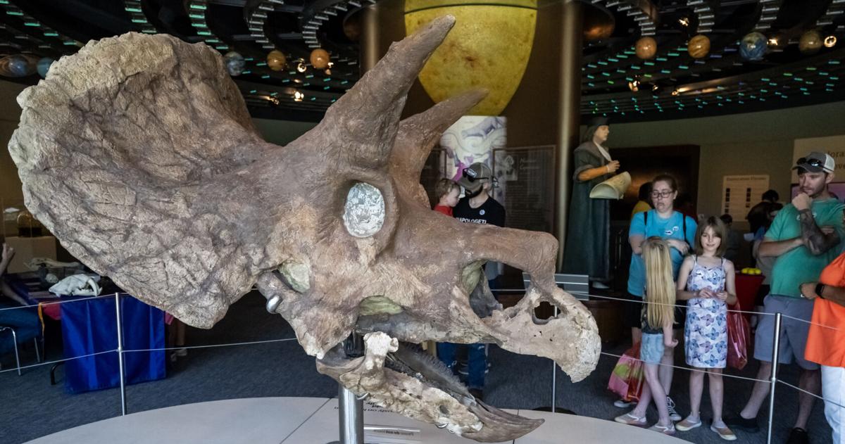 Rund um Baton Rouge: Dino-Tag, Amateurfunk-Event, Vernissage und mehr ...