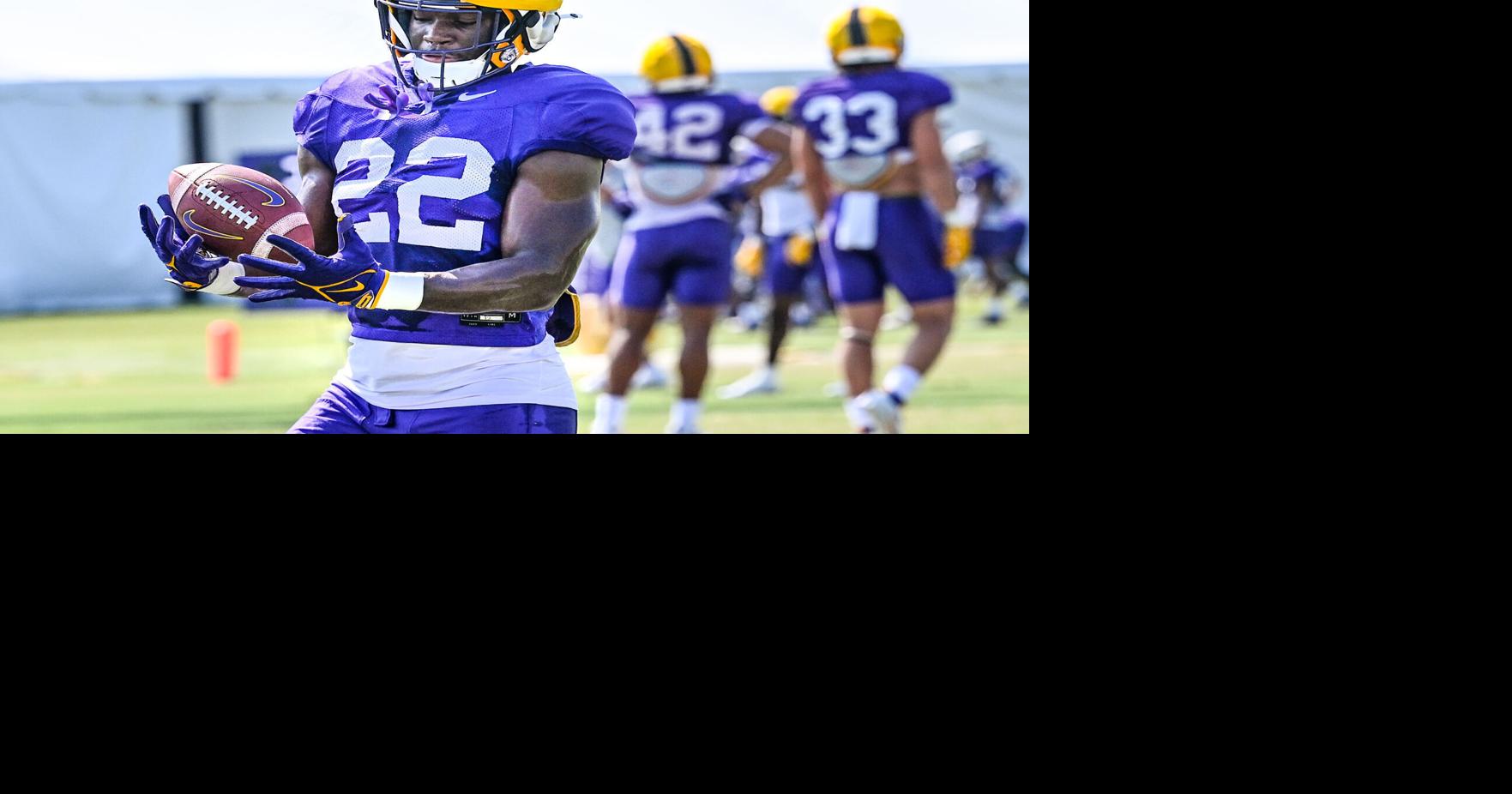 An LSU backup safety from the Baton Rouge area plans to enter the transfer portal