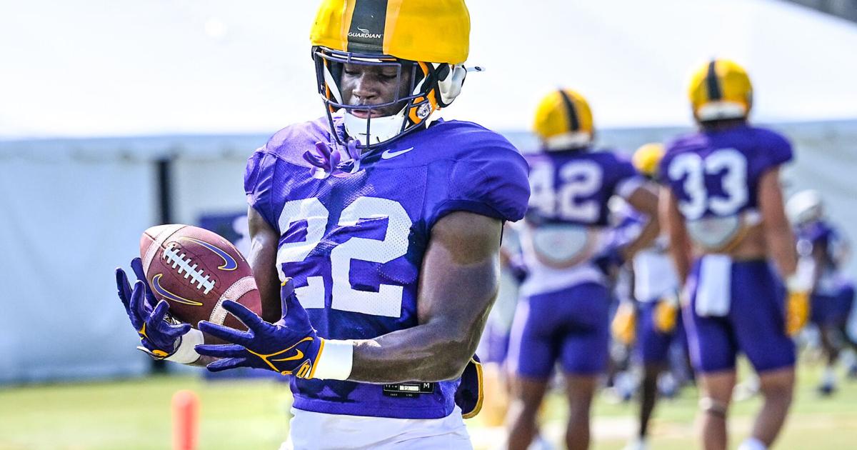 An LSU backup safety from the Baton Rouge area plans to enter the transfer ...