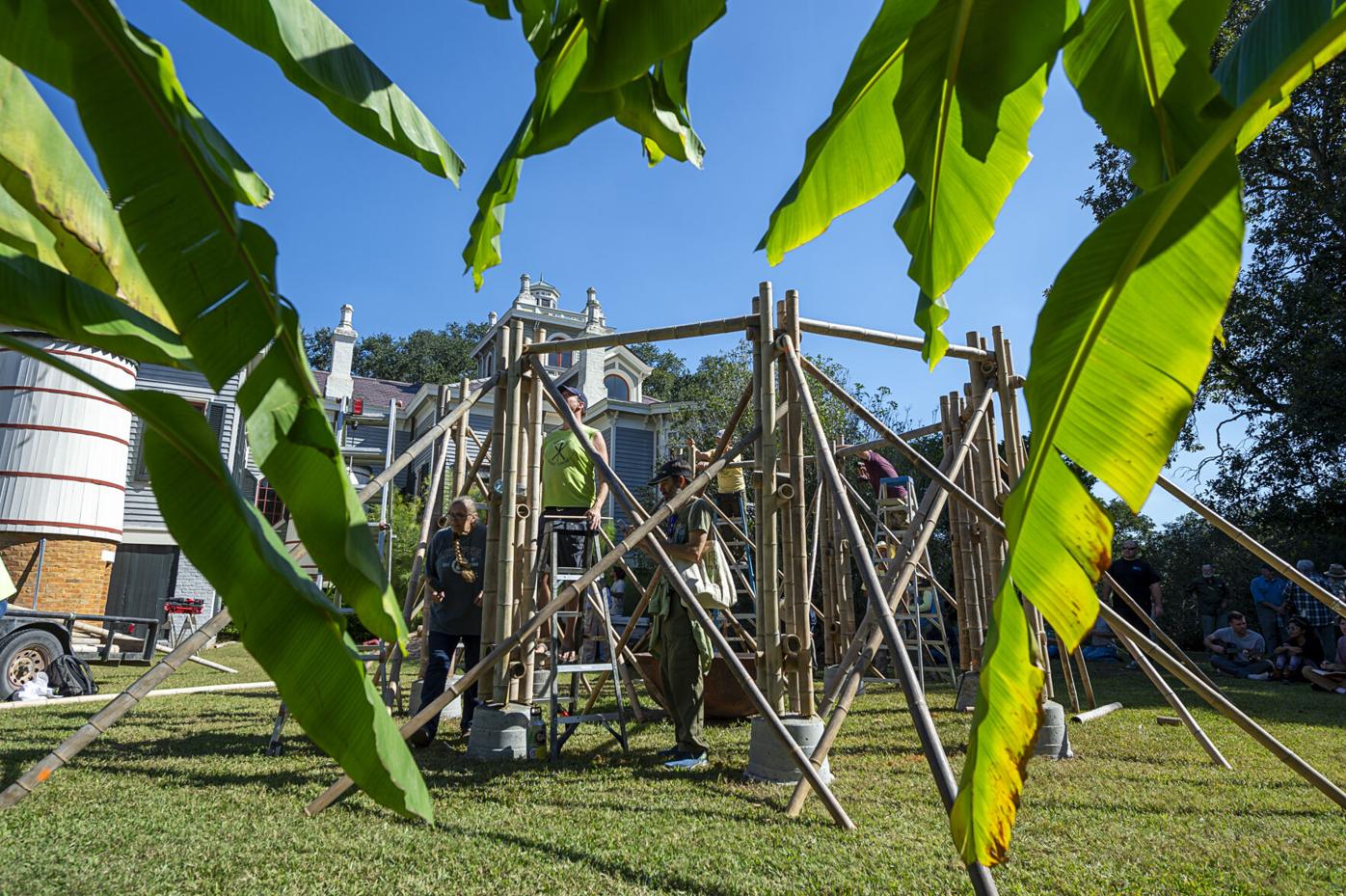 Tradie urges audience to bamboo the world a favour via The Incubator -  AdNews