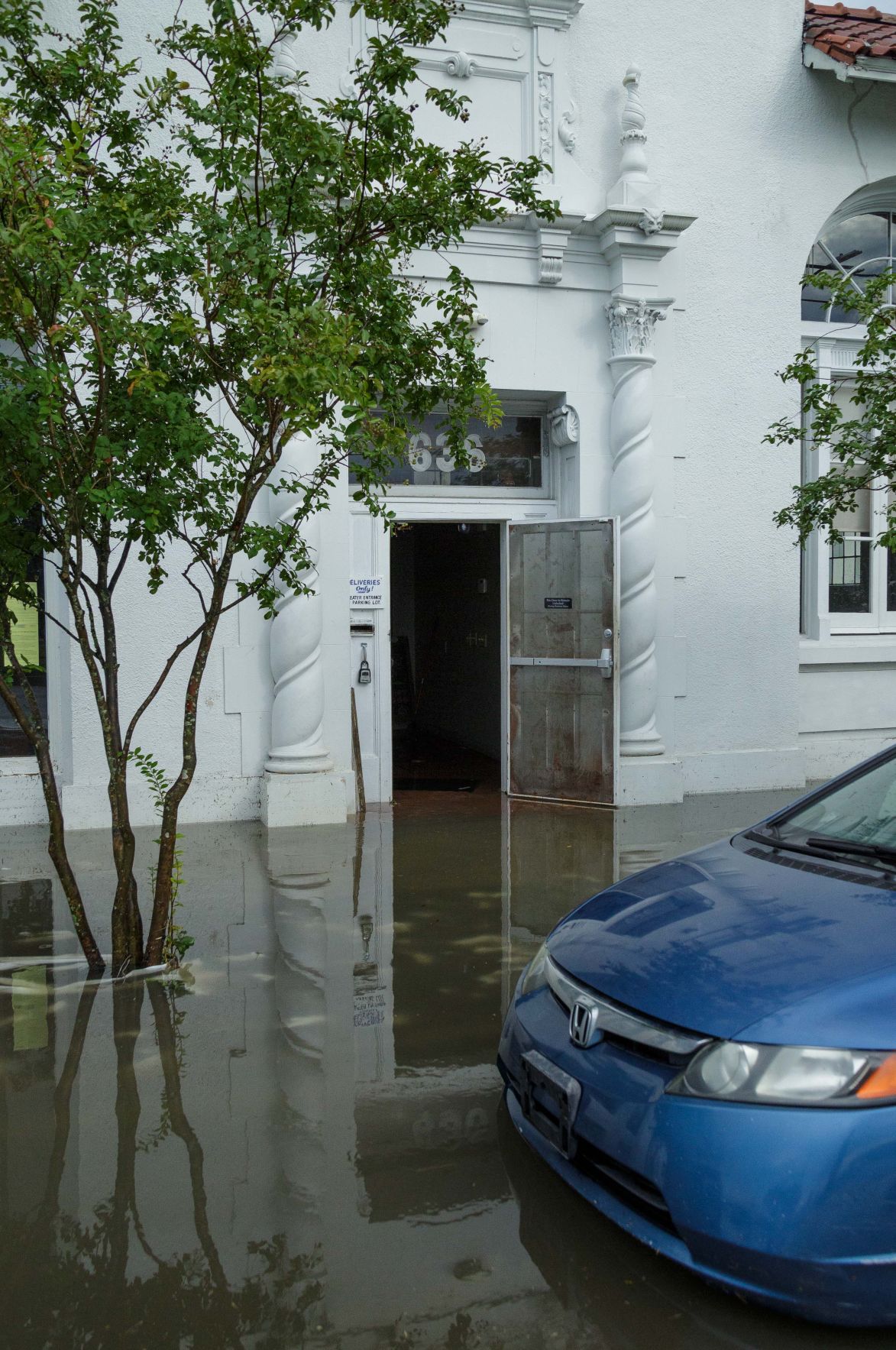 midcityfloodingwildart28683.JPG