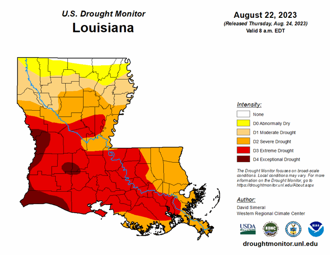 Louisiana wildfire cause smokey conditions in Lafayette Weather