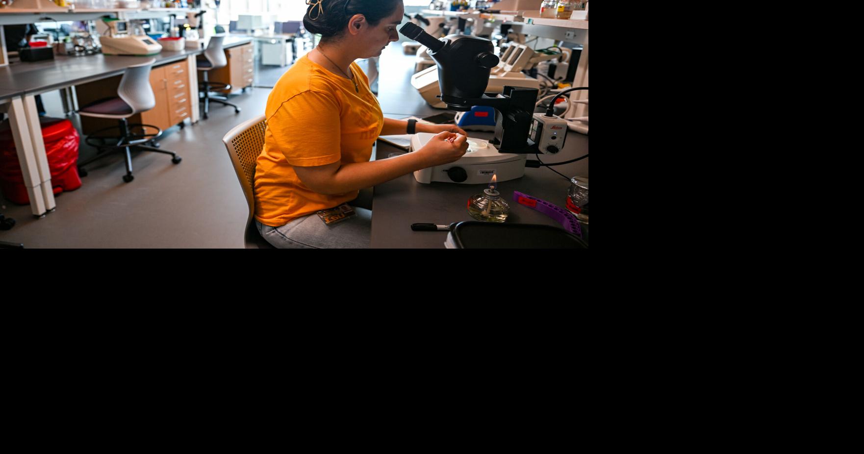 High-tech laboratories, dairy store, waterfall: Inside LSU’s new $148 million science building