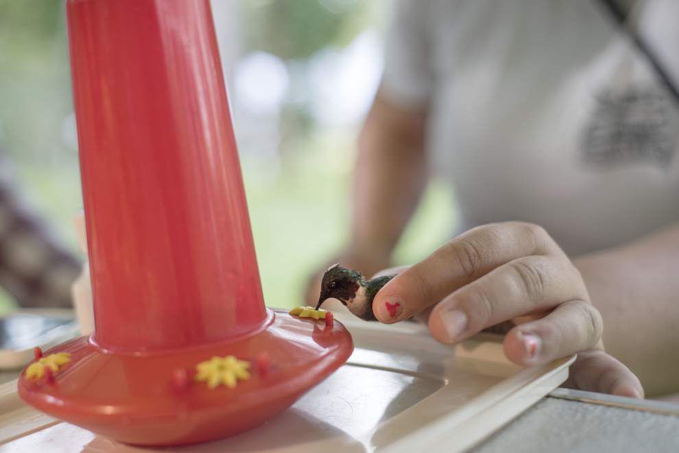 Photos: Hummingbirds hit feeders in St. Francisville on their annual migration south _lowres