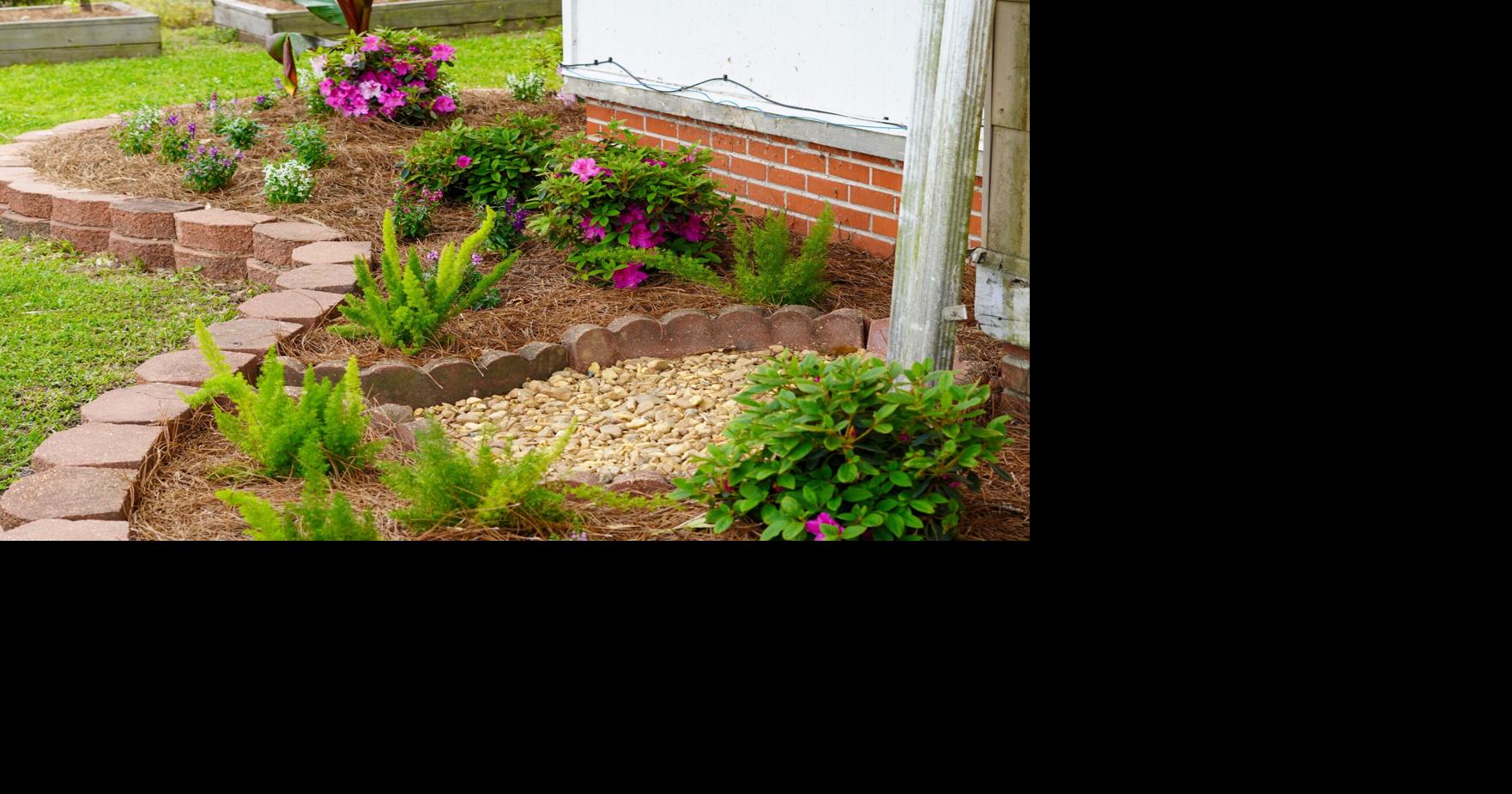 Grow the Extra Mile: Louisiana Nursery’s community initiatives transform local spaces