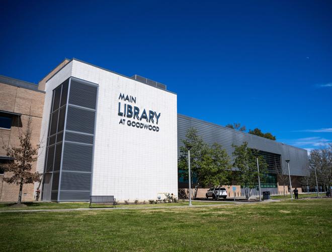 BR.librarymeet.030725_3651 MJ.JPG