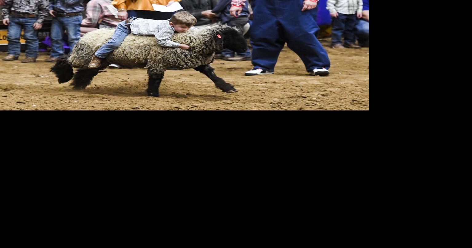 Photos 71st MidWinter Fair Rodeo Photos