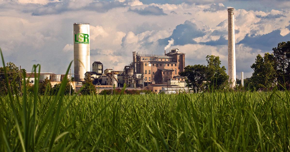 Eine Zuckerraffinerie, die mehr als 800 Landwirte versorgt ...
