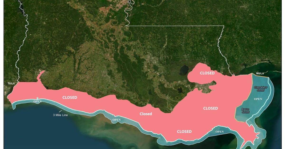 Science, Jobs, and Balance: Rethinking Louisiana’s Menhaden Buffer Zone