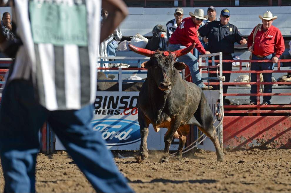 The Angola Rodeo: Wildest Show in the South _lowres
