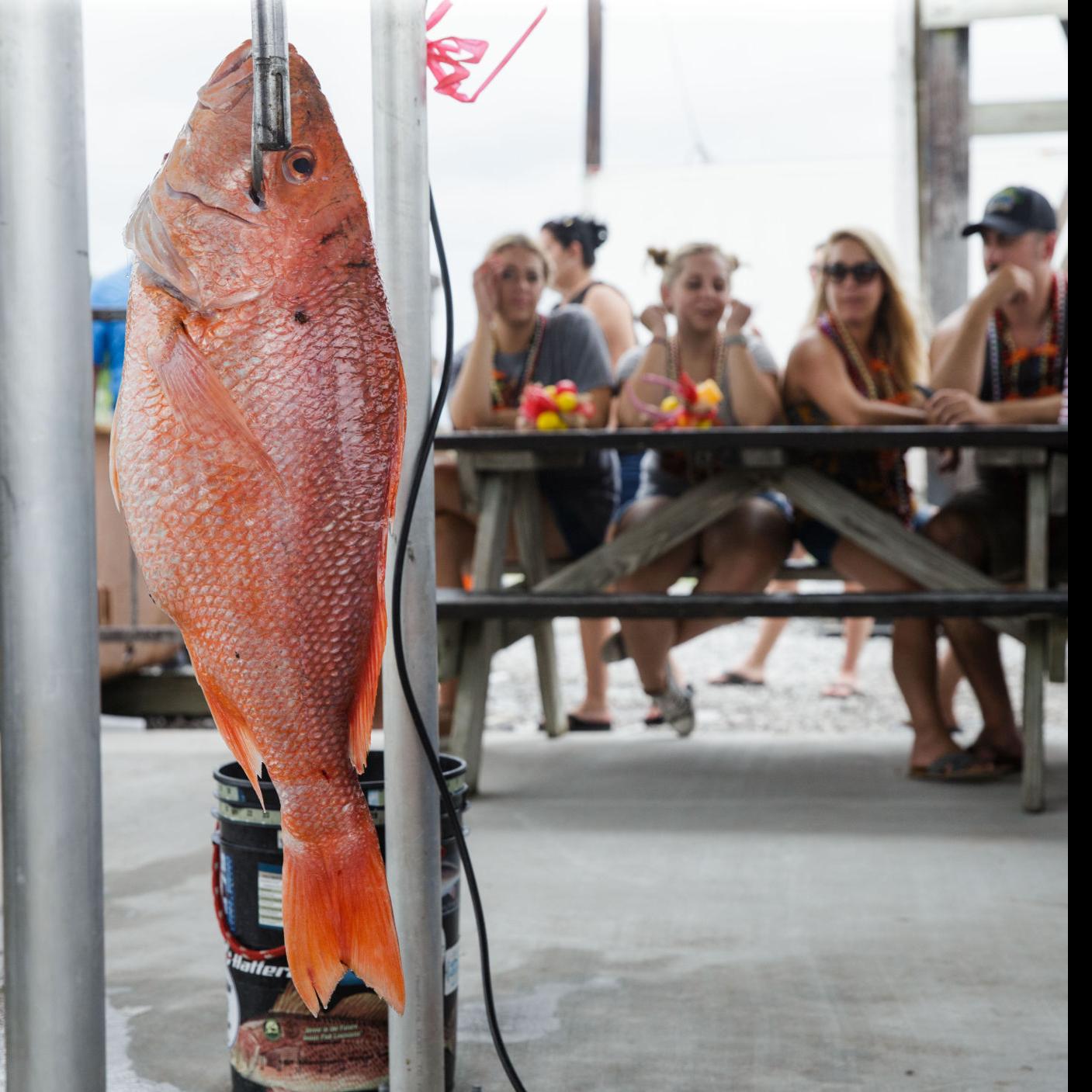 Amendment 50 Big Win For Offshore Anglers Louisiana Outdoors Theadvocate Com