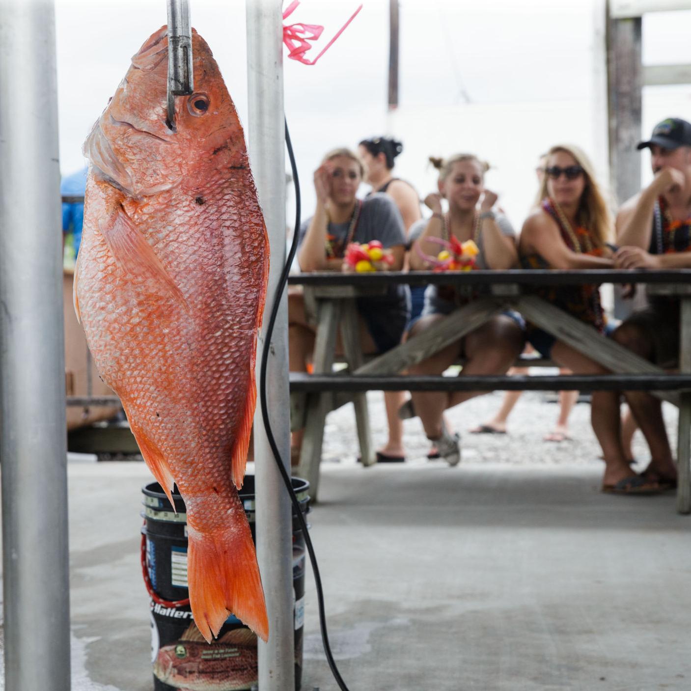 Amendment 50 Big Win For Offshore Anglers Louisiana Outdoors Theadvocate Com Amendment 50 Big Win For Offshore Anglers Louisiana Outdoors Theadvocate Com