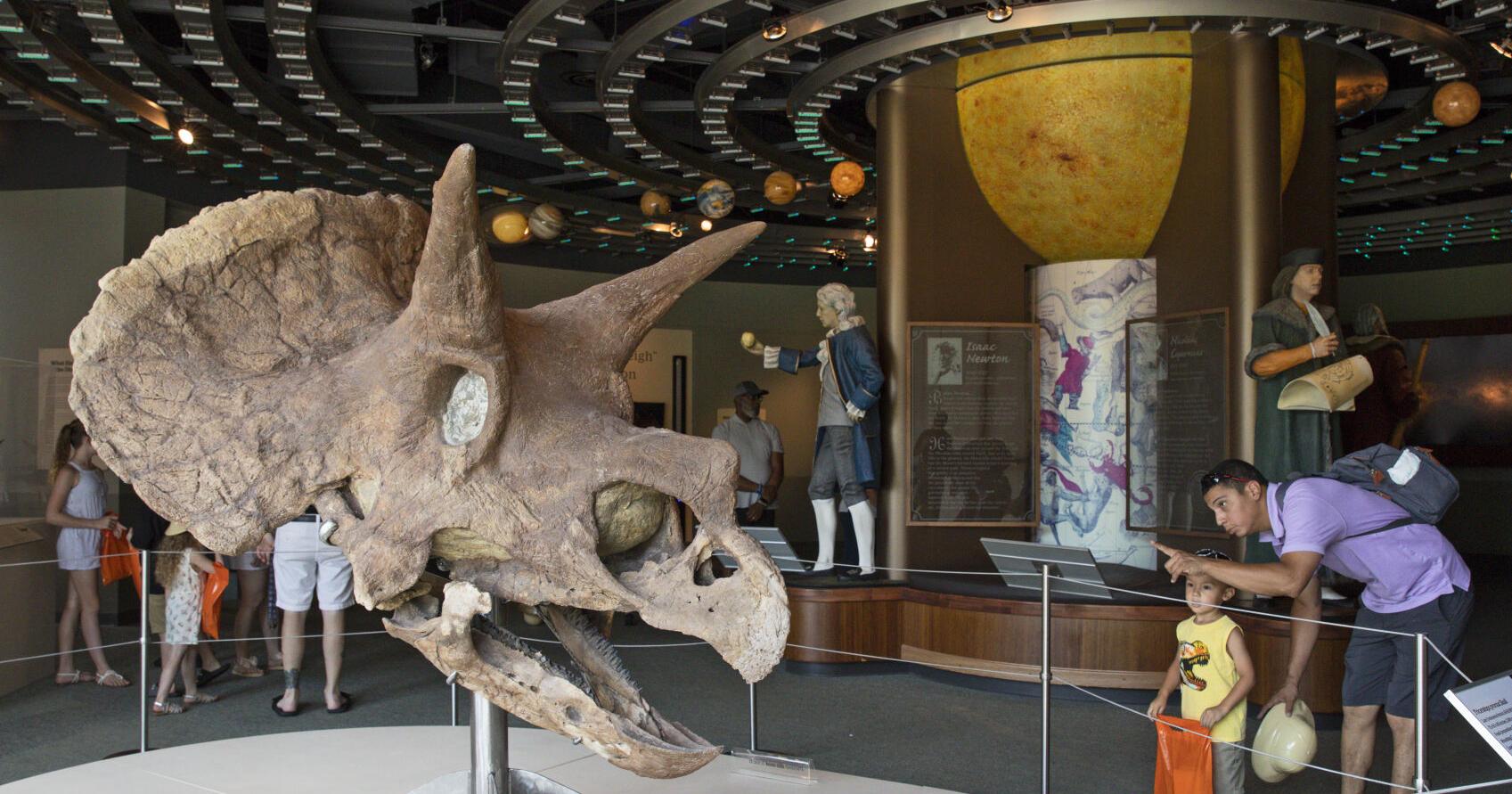 Rodrgigue exhibit opens, Dino Days and more in Baton Rouge | Entertainment/Life - Vimarsana News