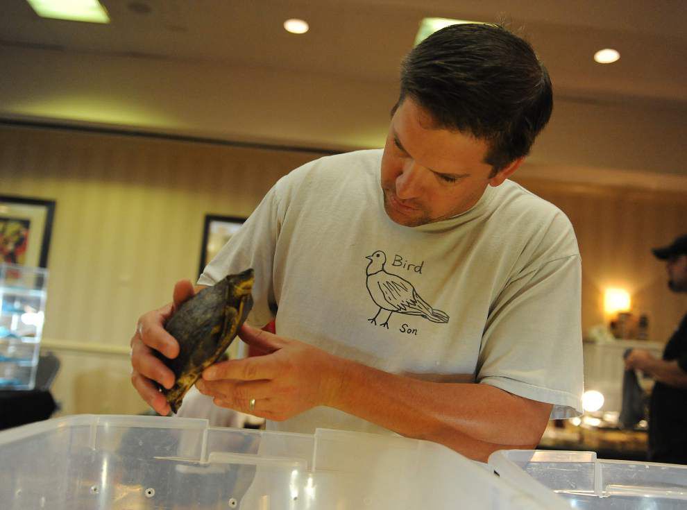 Photos: Snakes, turtles, lizards take center stage at ReptiDay in Lafayette _lowres