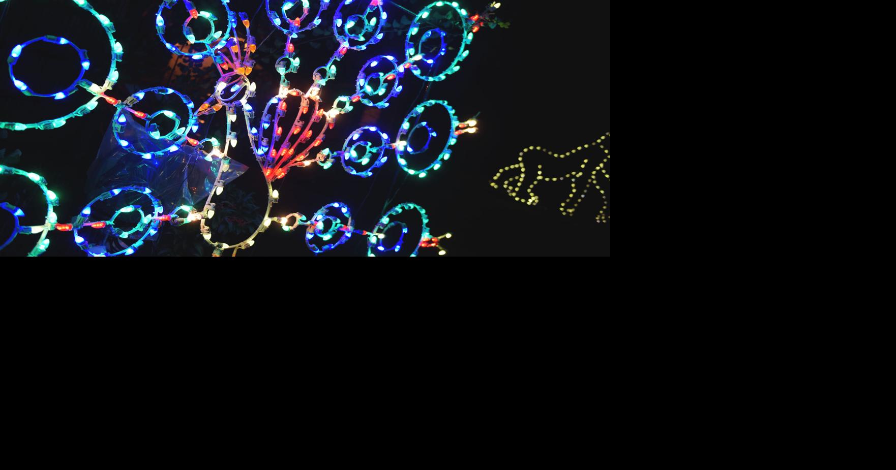 Baton Rouge Zoo holidays with ZooLights and Art Gone Wild