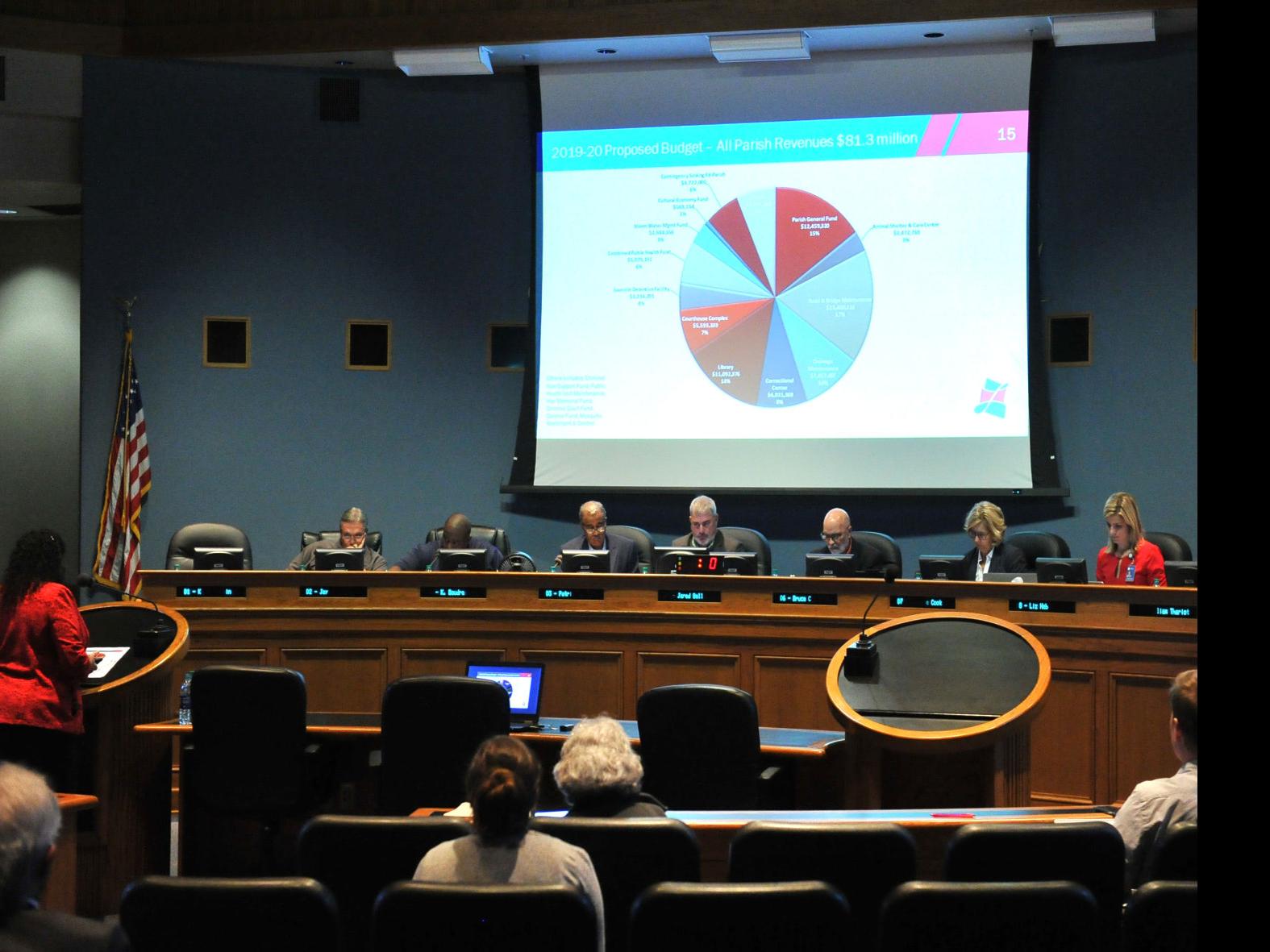 Who S Running For New Lafayette City Council 15 Candidates Battle For Seats Elections Theadvocate Com