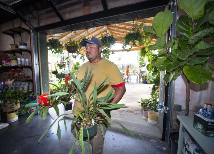 Weird weather Baton Rouge could see its earliest freeze ever. Here's