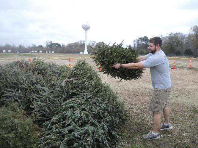 Sunday is last day for Christmas tree recycling Ascension