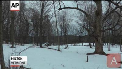 Maple syrup makers tap into new technology _lowres