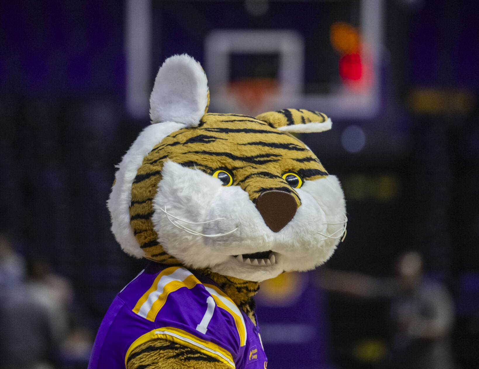 NO.lsuwomen.102326_3375 MJ.JPG