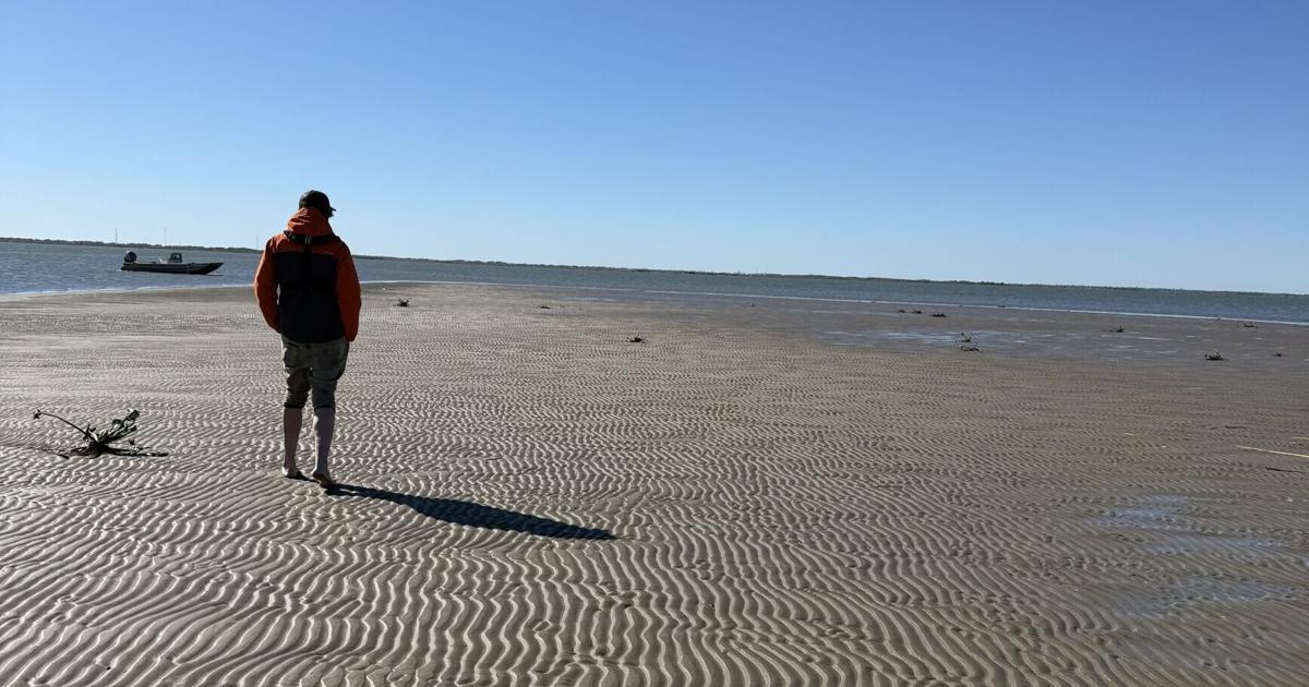 South Louisiana is doomed? Don't tell that to the startups trying to save it May 21, 2026 28 mins ago 5 min to read