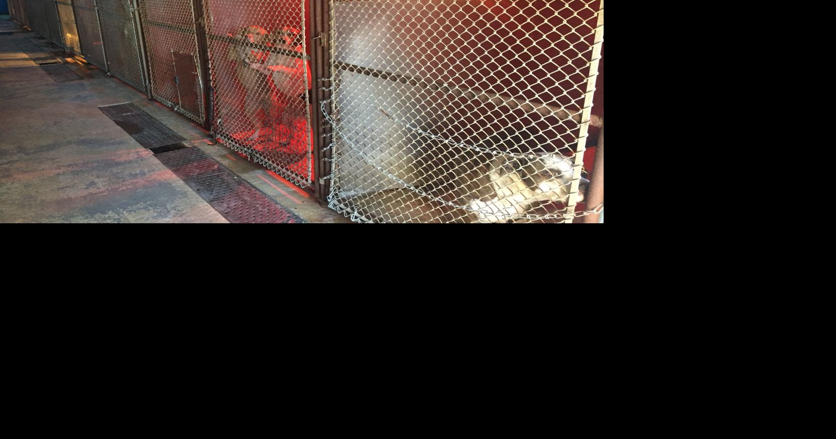 In Ascension Parish, new property tax for CARA's House, animal control