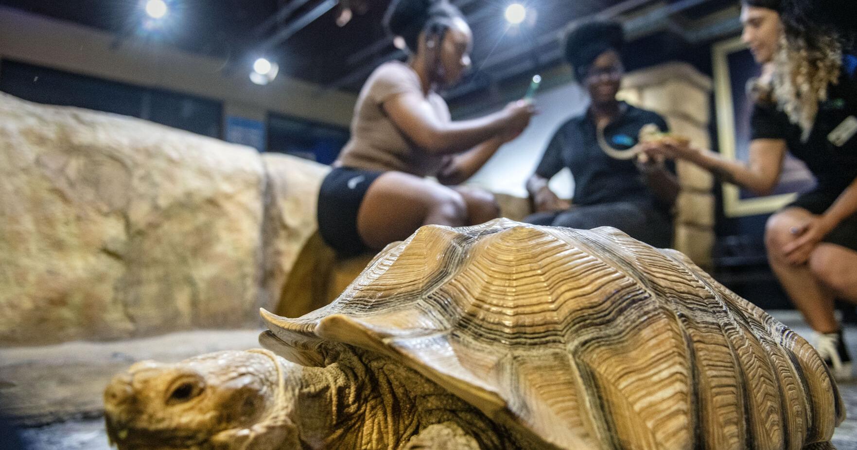Baton Rouge businesses mark leap day | Entertainment/Life - Vimarsana News