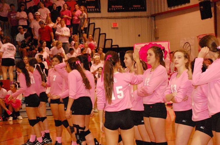 Volleyball teams raise awareness News