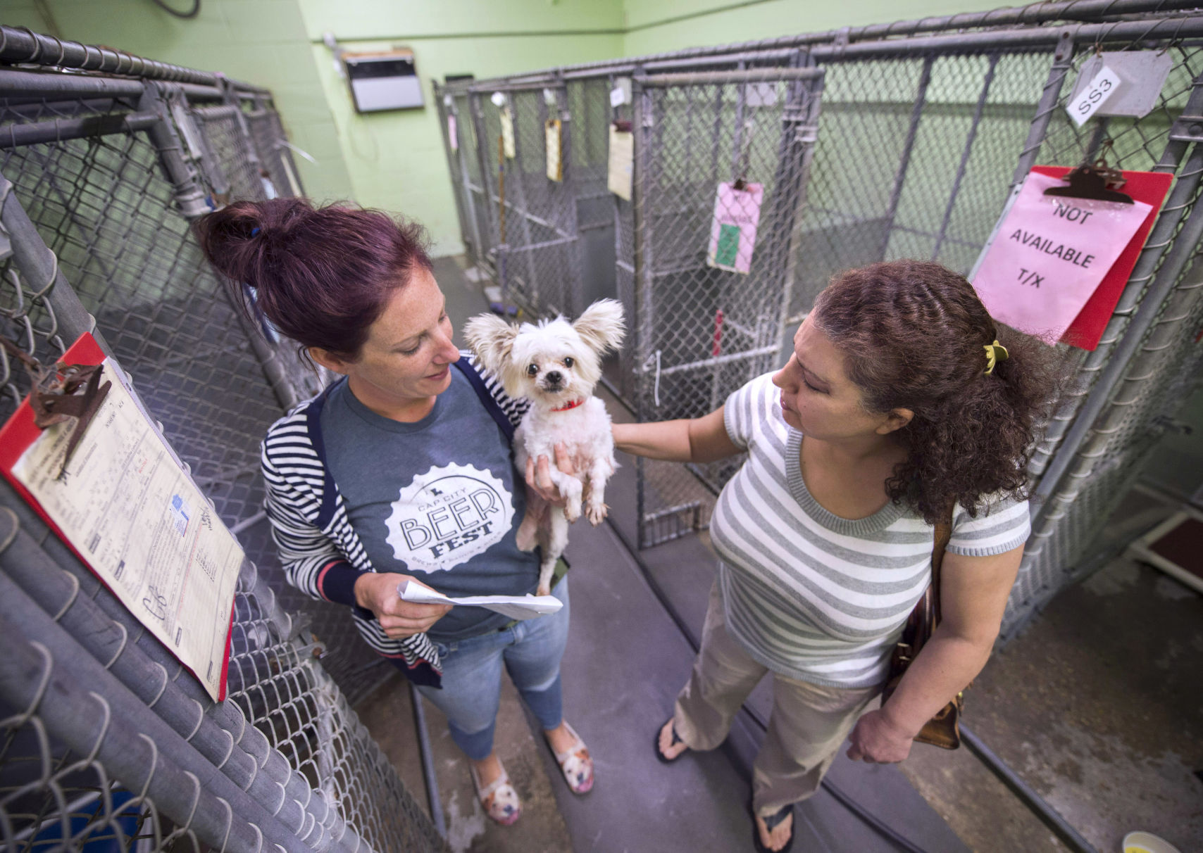 New animal shelter being built near LSU 