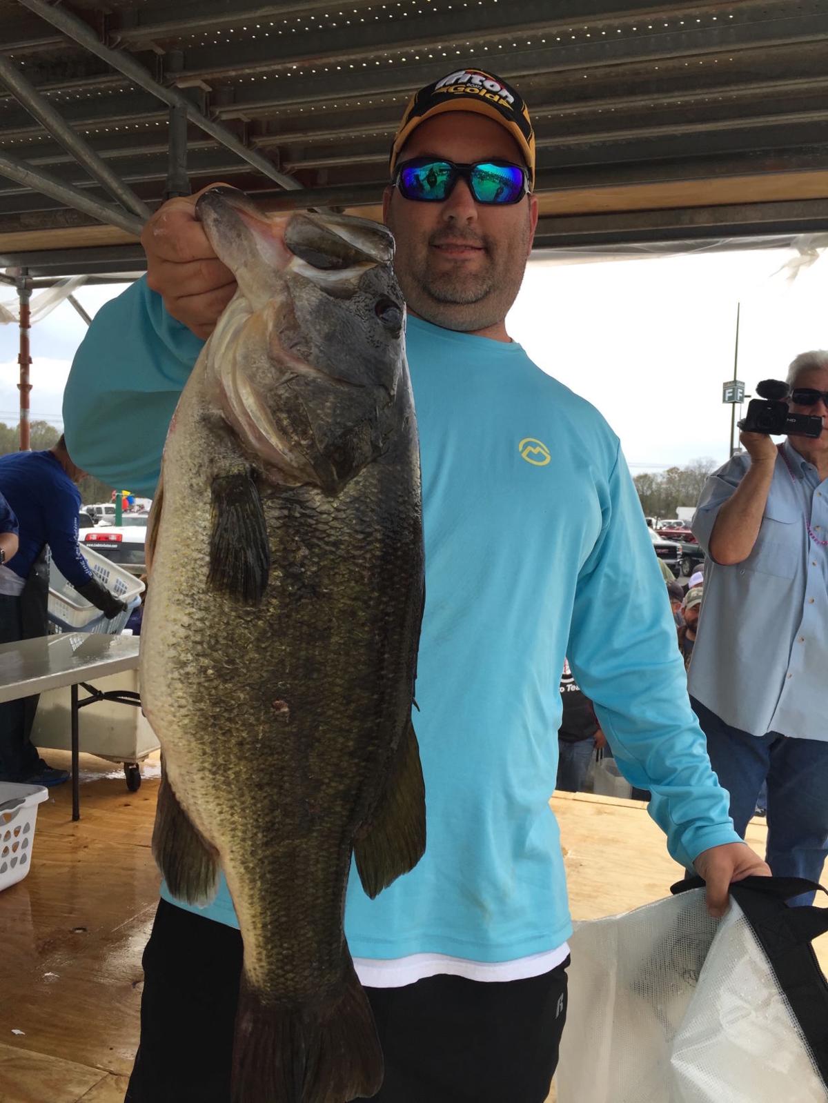 Wow! Giant largemouths caught in Atchafalaya Basin in ...