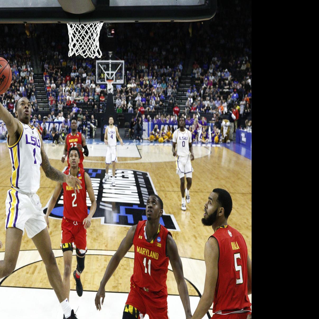 Lsu Basketball Underdogs Against Michigan State Here S What