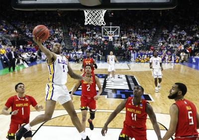 Lsu Basketball Underdogs Against Michigan State Here S What