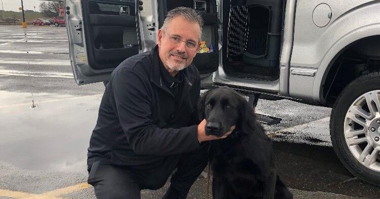 Christopher Railsback Lafayette dog trainer sentenced after pleading guilty to abusing ...