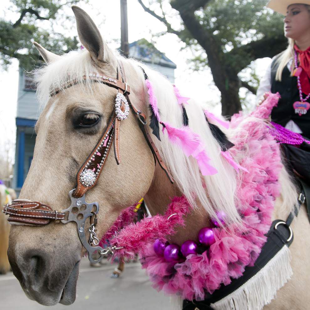 Photos: Krewe of Thoth _lowres