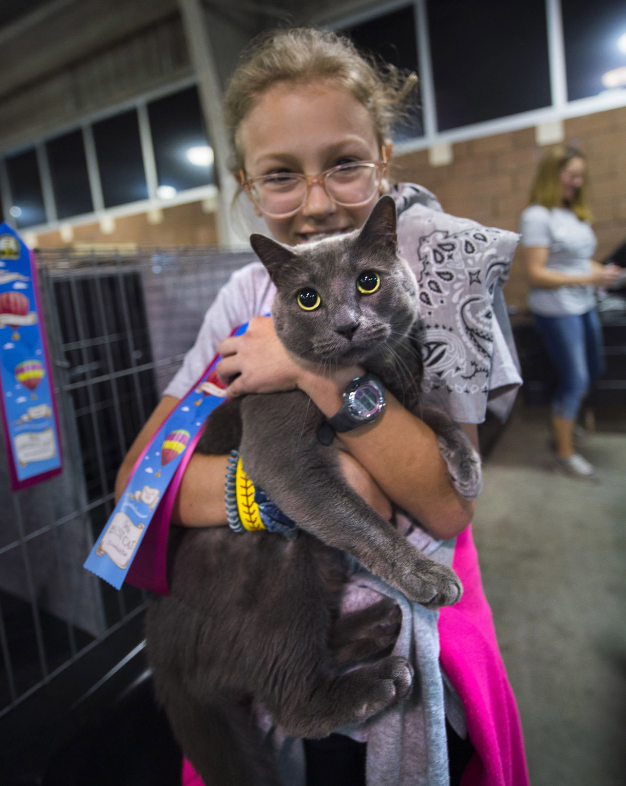 cat club cool chartreux