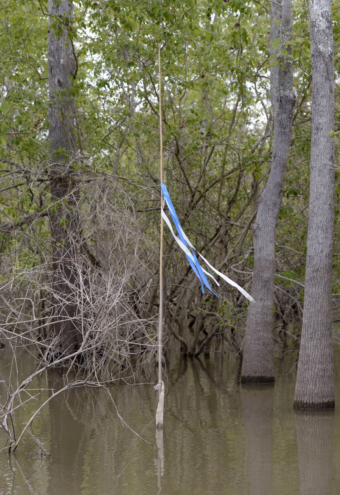 Bayou Bridge Pipeline Trial Economic Benefit Compared To Environmental