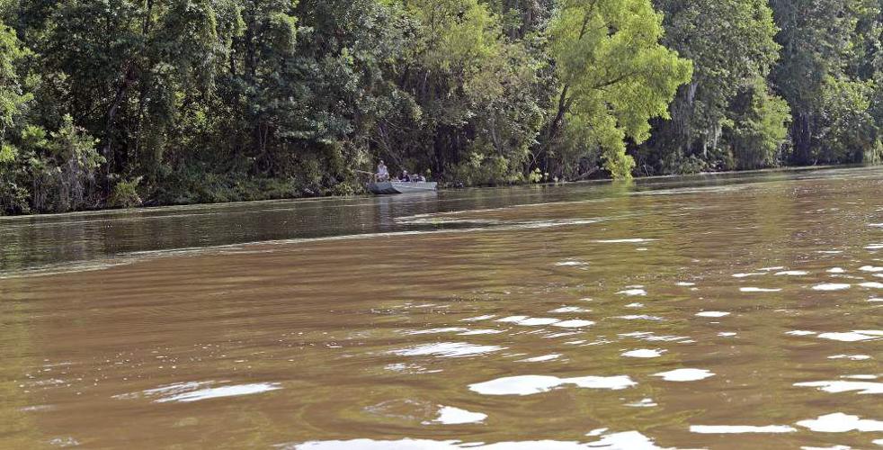 The Nature Conservancy buys Atchafalaya Basin land to improve water